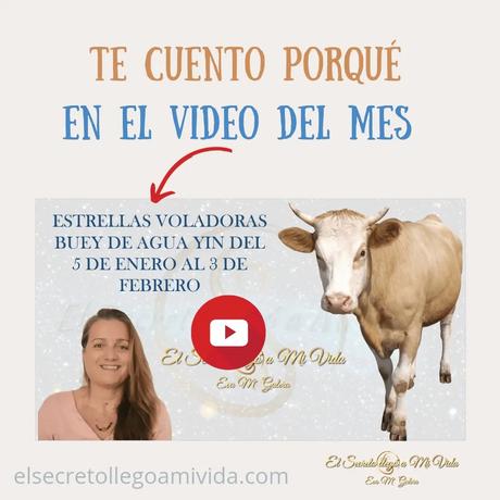 Relaciones con el mes del Buey