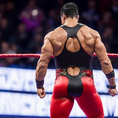 Los políticos, estrellas de lucha libre… La empresa que obligó a sus candidatas a desvestirse. Y desnudos de barrio. Los políticos, estrellas de lucha libre… La empresa que obligó a sus candidatas a desvestirse. Y desnudos de barrio.