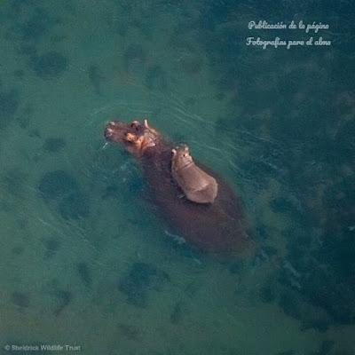 Los políticos, estrellas de lucha libre… La empresa que obligó a sus candidatas a desvestirse. Y desnudos de barrio. Los políticos, estrellas de lucha libre… La empresa que obligó a sus candidatas a desvestirse. Y desnudos de barrio.