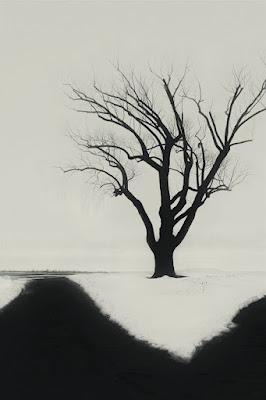 Los políticos, estrellas de lucha libre… La empresa que obligó a sus candidatas a desvestirse. Y desnudos de barrio. Los políticos, estrellas de lucha libre… La empresa que obligó a sus candidatas a desvestirse. Y desnudos de barrio.