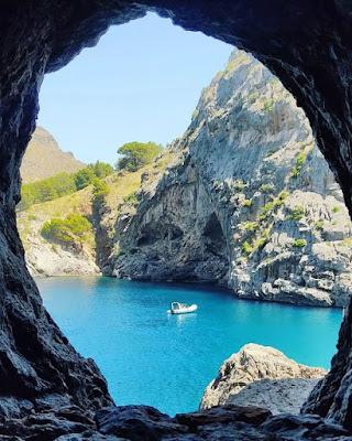 Los políticos, estrellas de lucha libre… La empresa que obligó a sus candidatas a desvestirse. Y desnudos de barrio. Los políticos, estrellas de lucha libre… La empresa que obligó a sus candidatas a desvestirse. Y desnudos de barrio.