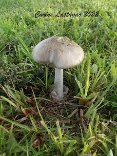 El ciclo de la vida V. Cerrando el ciclo.