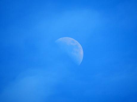 Camuflaje. Camuflaje.