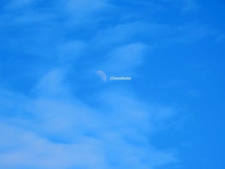 Camuflaje. Camuflaje.