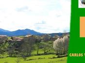 Lecherina―Libretil