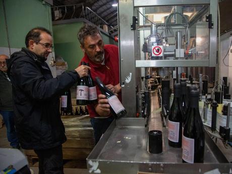 Laderas del Jiloca Garnacha Viñas Viejas 2020