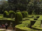 Cinco planes para cinco ciudades