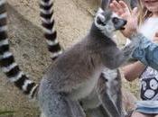 Sendaviva, parque temático diferente Navarra