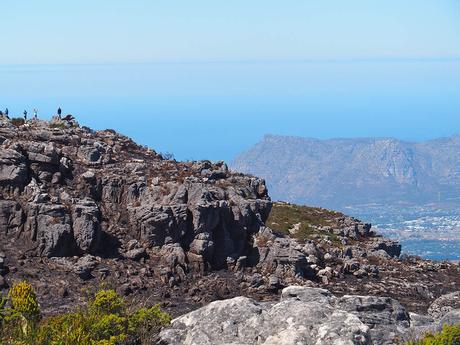 Table Mountain, la guía 2023 más completa para visitarla