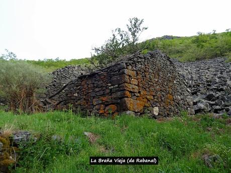 Rabanal de Luna-Los Cáscaros-Las Pajarinas