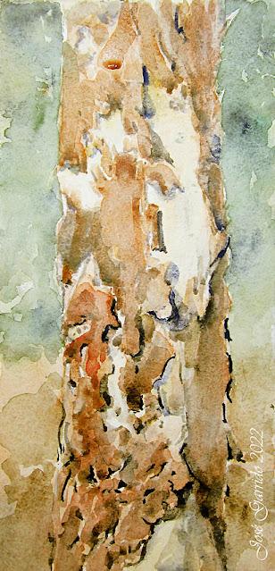 Flores y árboles. Paleta, colores, mezclas y texturas