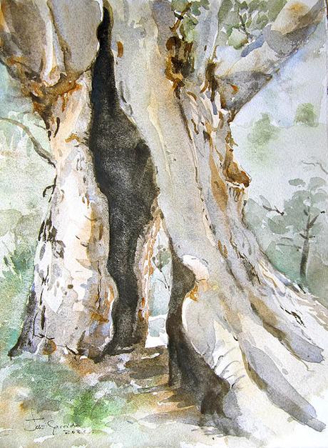 Flores y árboles. Paleta, colores, mezclas y texturas