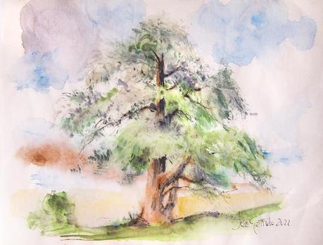 Flores y árboles. Paleta, colores, mezclas y texturas