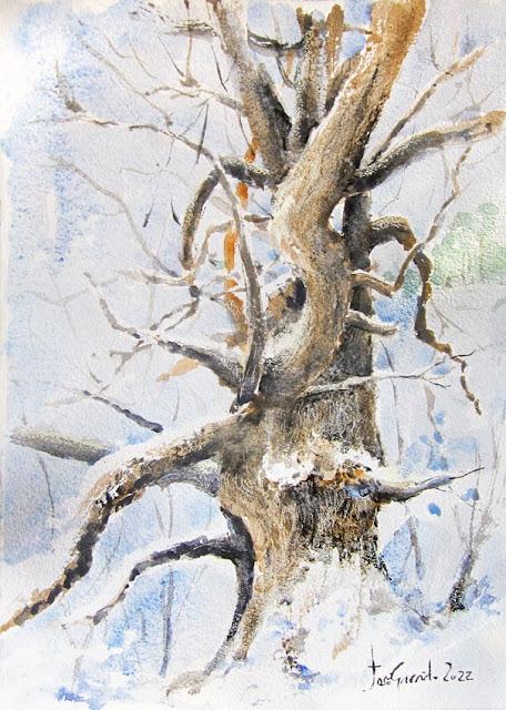 Flores y árboles. Paleta, colores, mezclas y texturas