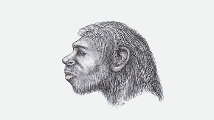 Neandertales