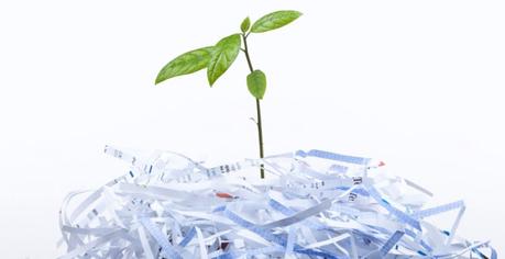 La celulosa: Del papel a la medicina