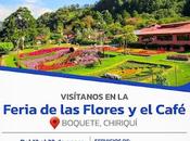 Feria Flores Café