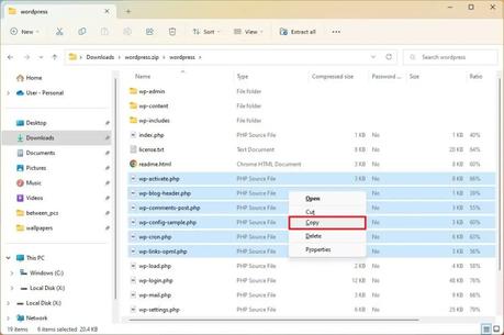 Cómo extraer archivo zip en Windows 11, 10 Explorador de archivos extrae un archivo del zip