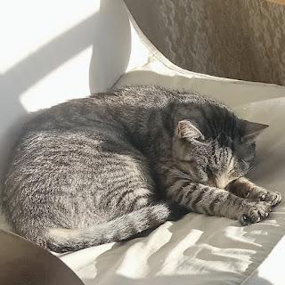 Adiós a mi querido Gaspar