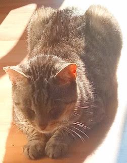 Adiós a mi querido Gaspar