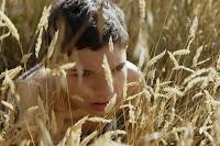 Cinecritica: Distancia de Rescate