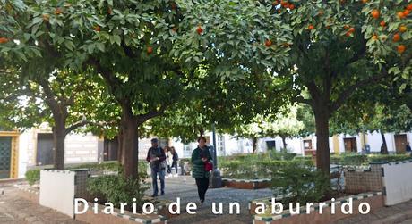 Fin de año en Sevilla