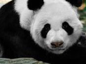 Configurar Scikit-learn para generar DataFrames