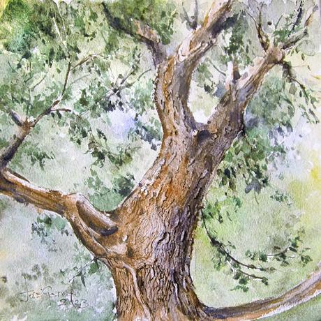 Árboles, flores y paisajes I - 2023