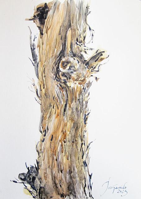 Árboles, flores y paisajes I - 2023