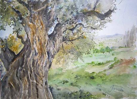 Árboles, flores y paisajes I - 2023