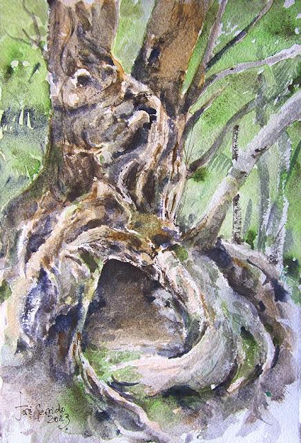 Árboles, flores y paisajes I - 2023