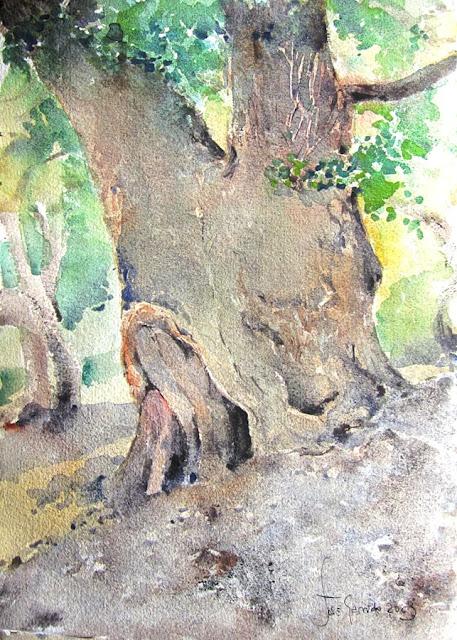 Árboles, flores y paisajes I - 2023