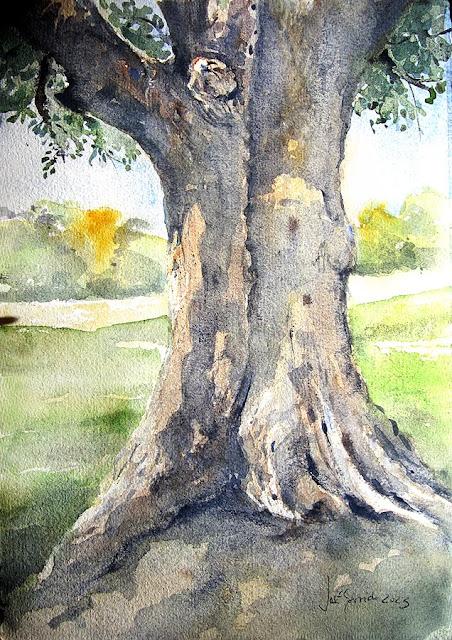 Árboles, flores y paisajes I - 2023