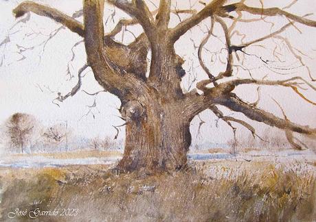 Árboles, flores y paisajes I - 2023