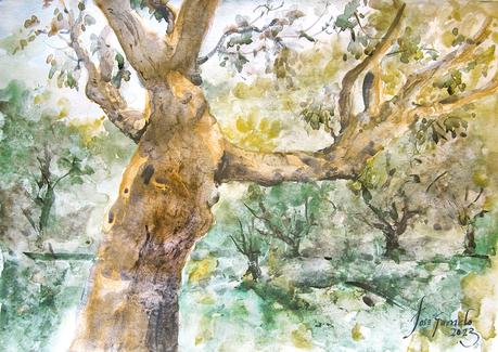 Árboles, flores y paisajes I - 2023