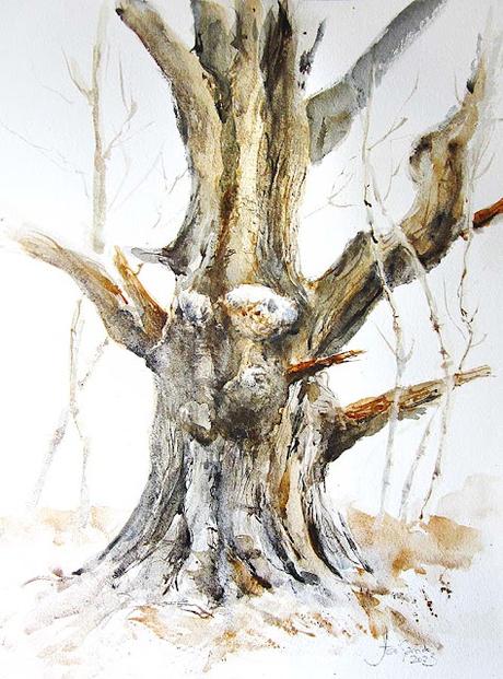 Árboles, flores y paisajes I - 2023