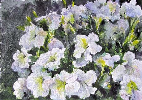 Árboles, flores y paisajes I - 2023