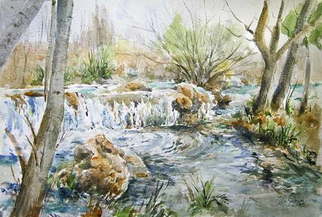 Árboles, flores y paisajes I - 2023