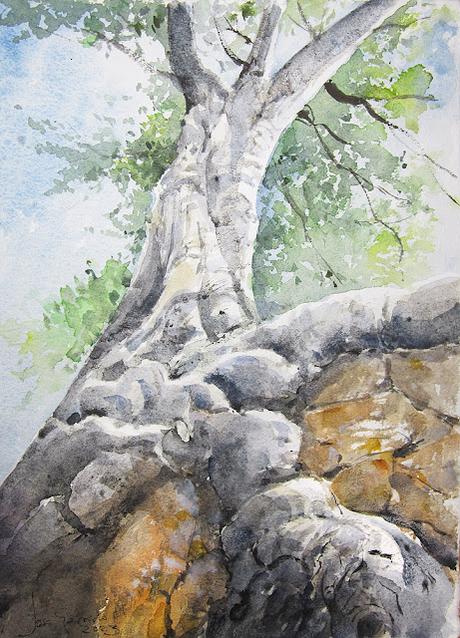 Árboles, flores y paisajes I - 2023