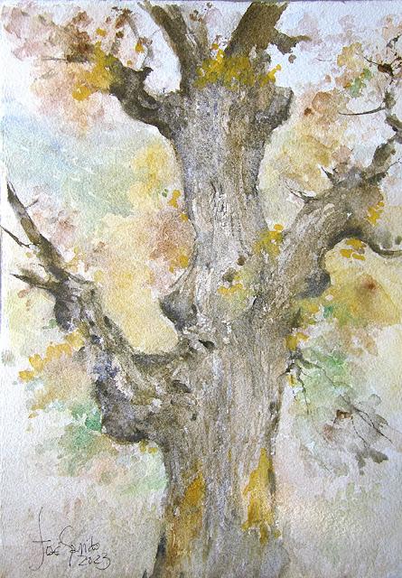 Árboles, flores y paisajes I - 2023