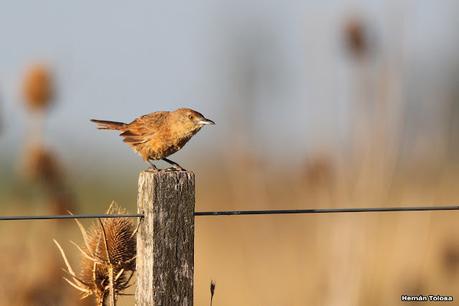 Primera salida de  2023