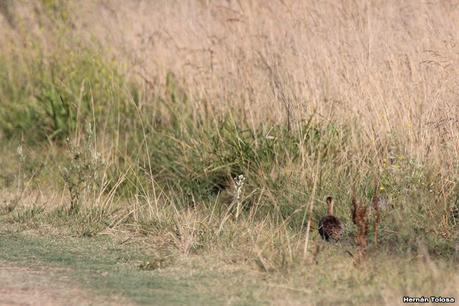 Primera salida de  2023