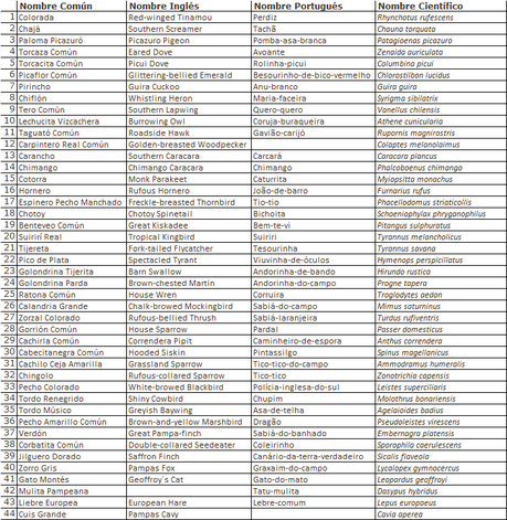 Primera salida de  2023