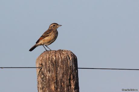 Primera salida de  2023
