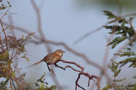 Primera salida de  2023