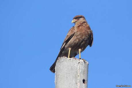 Primera salida de  2023
