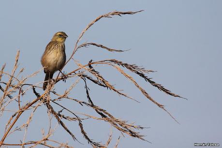 Primera salida de  2023