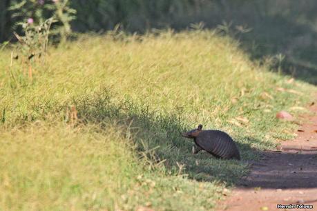 Primera salida de  2023