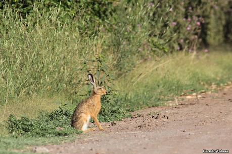 Primera salida de  2023