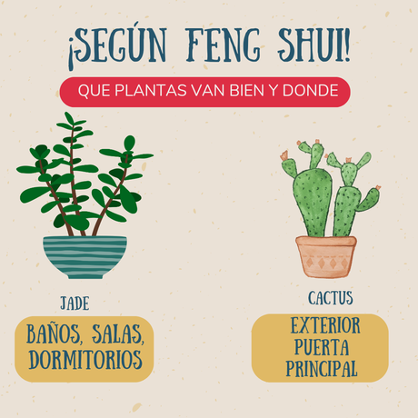 Que plantas van bien en Feng Shui
